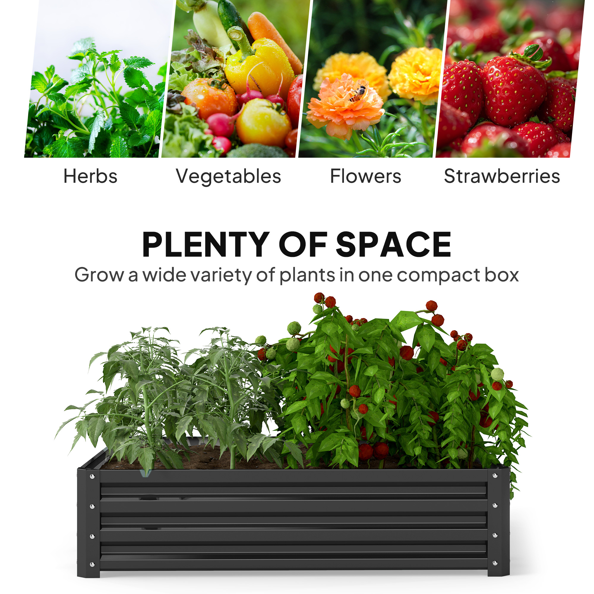 galleryImage
